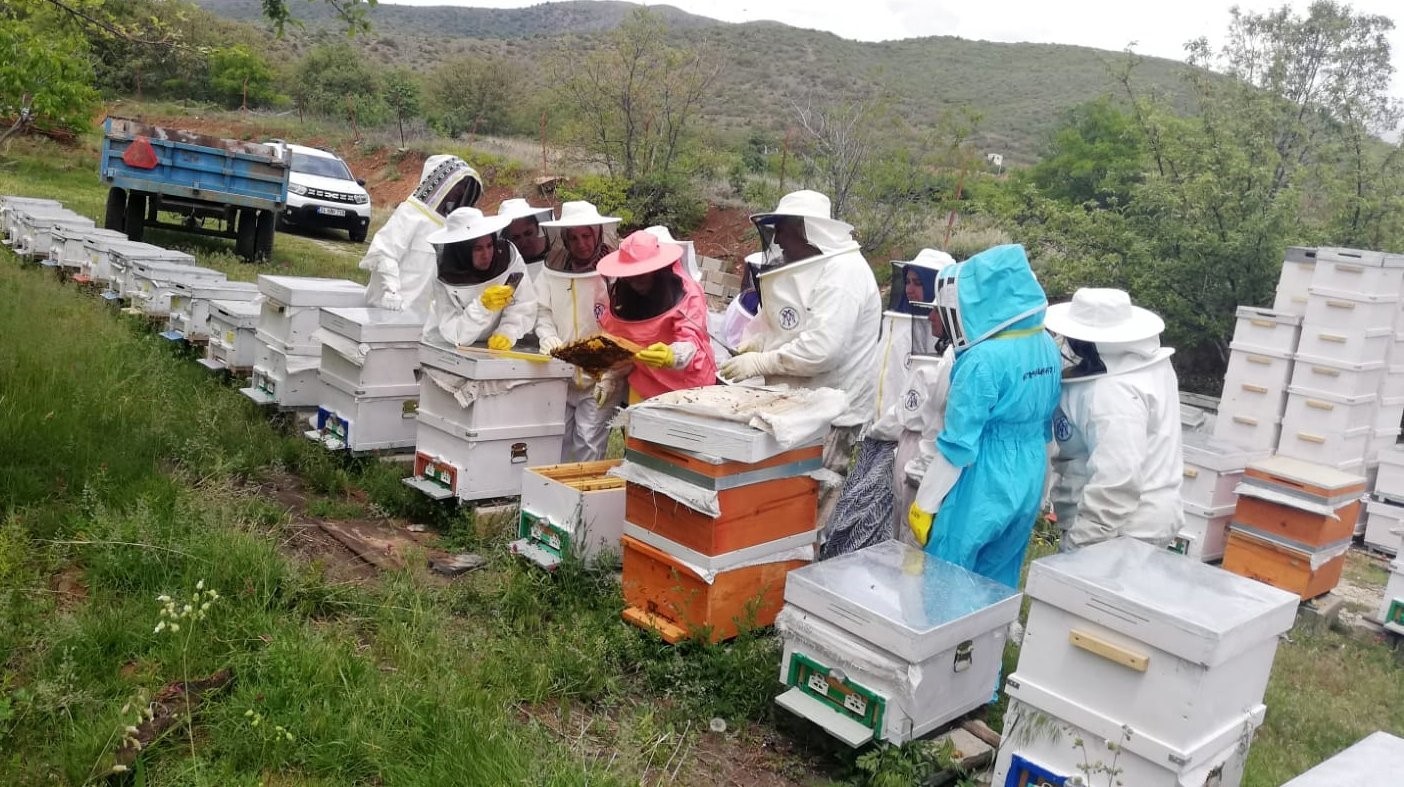 Erzincan&rsquo;da kadınlar arı s&uuml;t&uuml; &uuml;retecek
