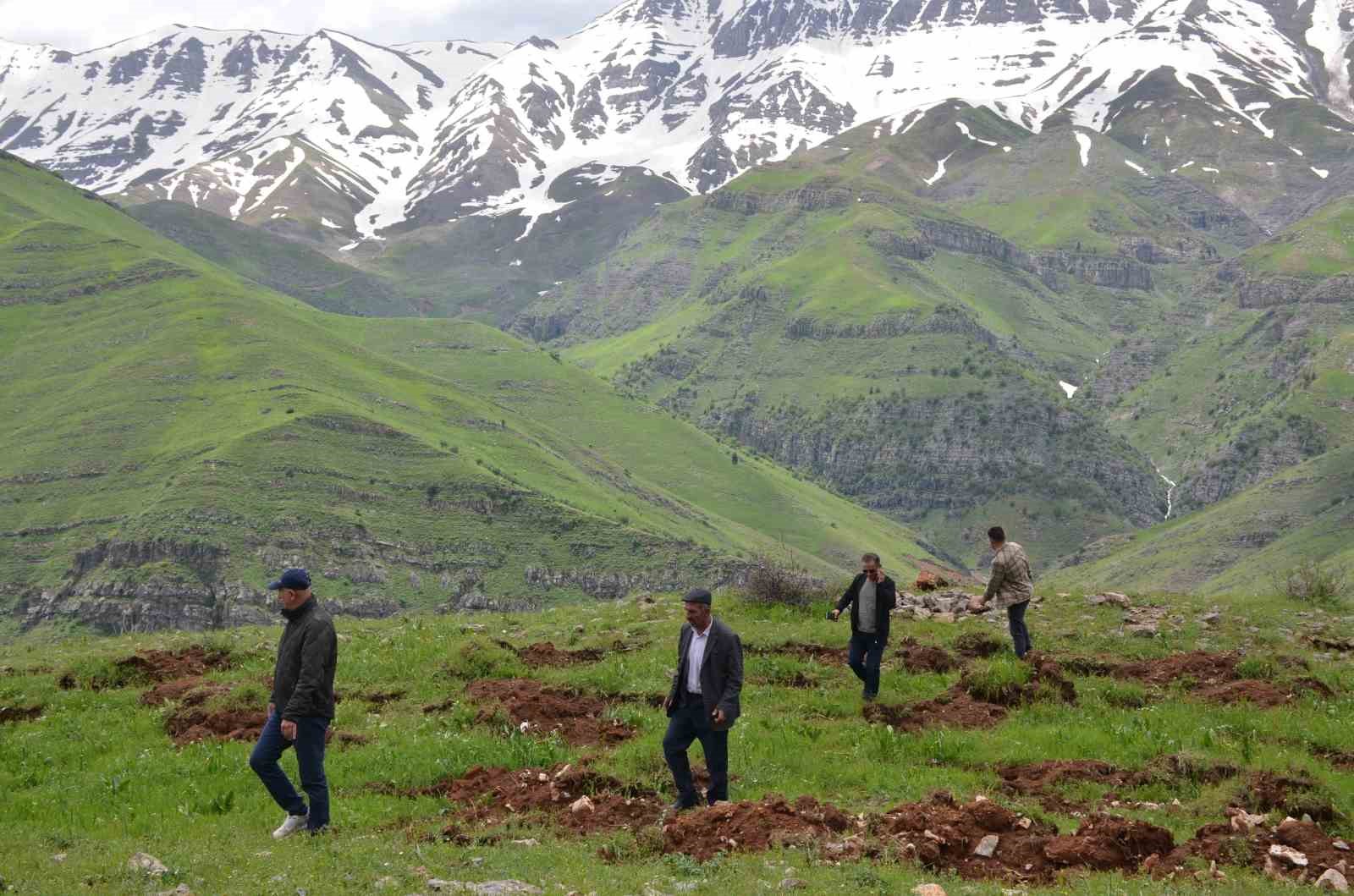 Şırnak’ta terörün bittiği dağlar 70 bin fidanla yeşillenecek
