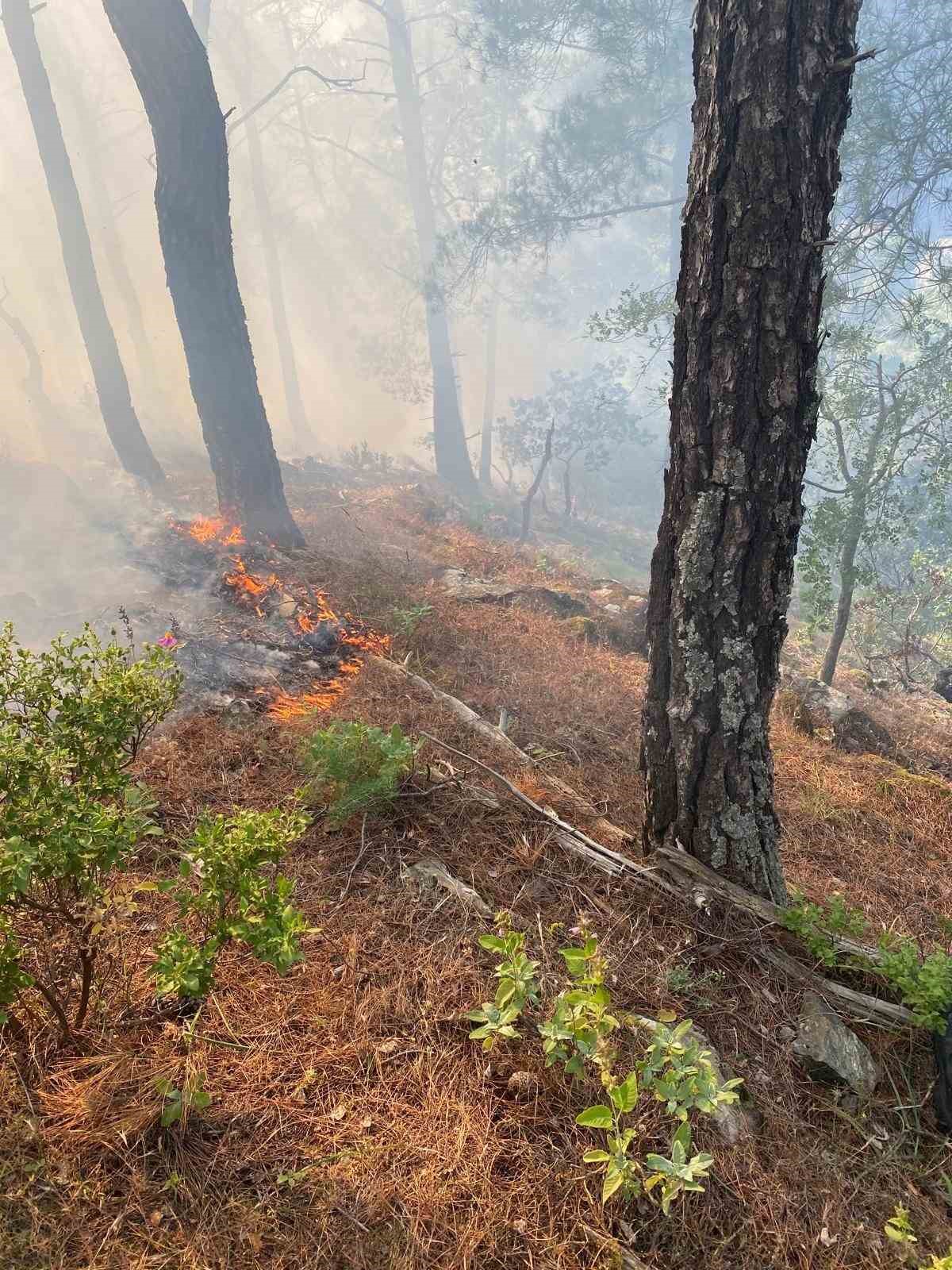 Kazdağları&rsquo;nda orman yangını
