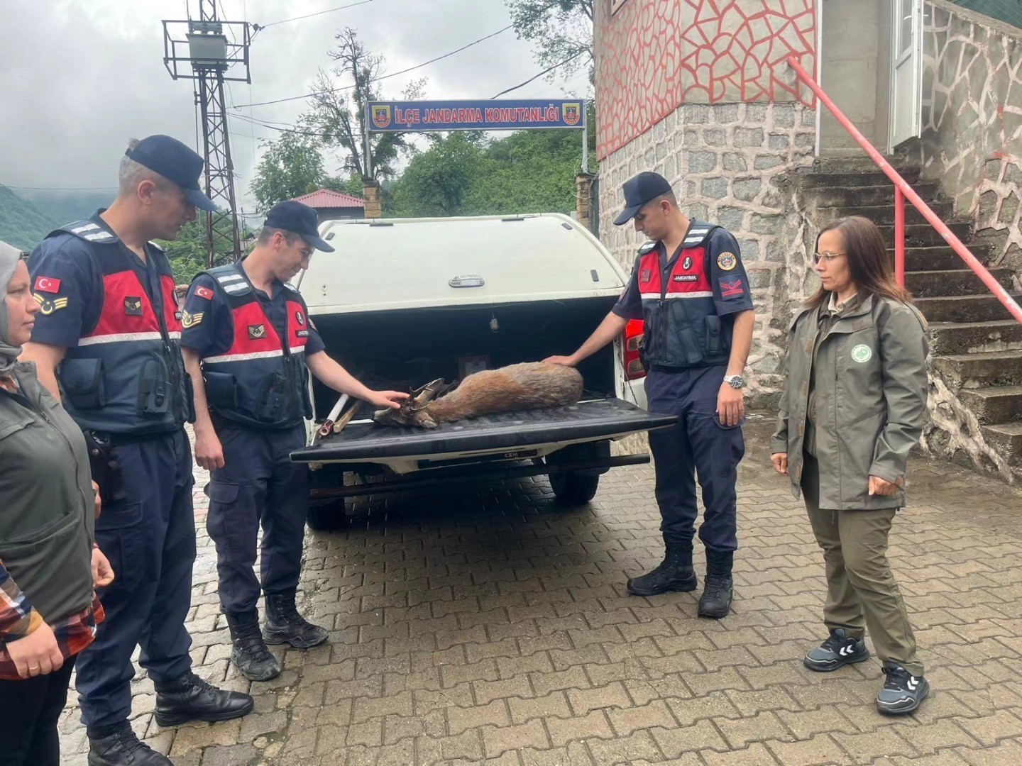 Yaralı karacaya jandarma şefkati İhlas Haber Ajansı