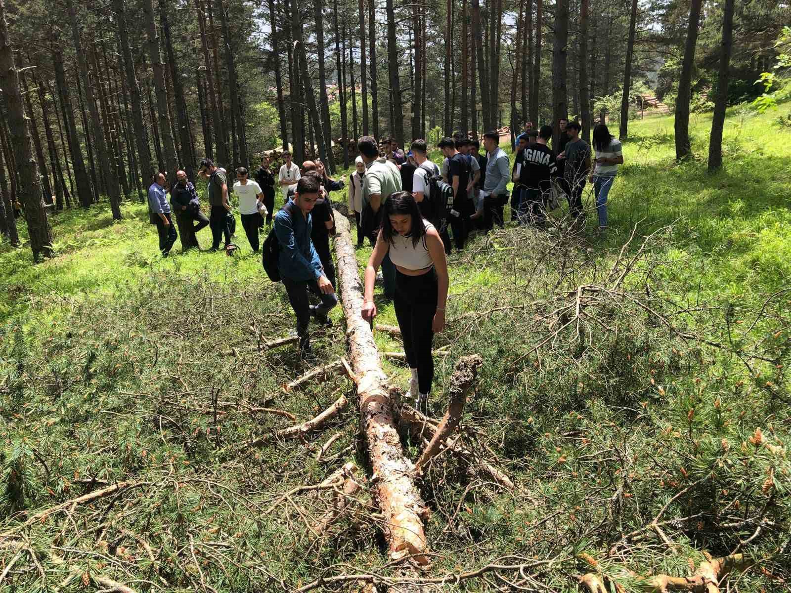 Tokat’ta üniversitesi öğrencilerine uygulamalı ormancılık eğitimi
