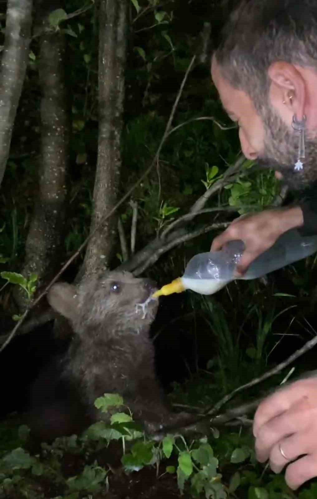 Yolda g&ouml;rd&uuml;ğ&uuml; yavru ayıyı biberonla besledi 