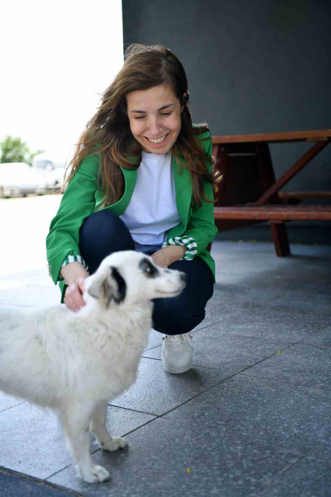 VETBÜS’ün tedavi ettiği can dost sahiplendirildi
