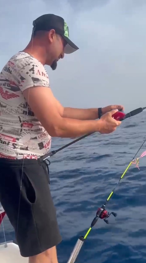 Denize bırakılan yaralı balon balığına, diğer balon balıkları saldırdı
