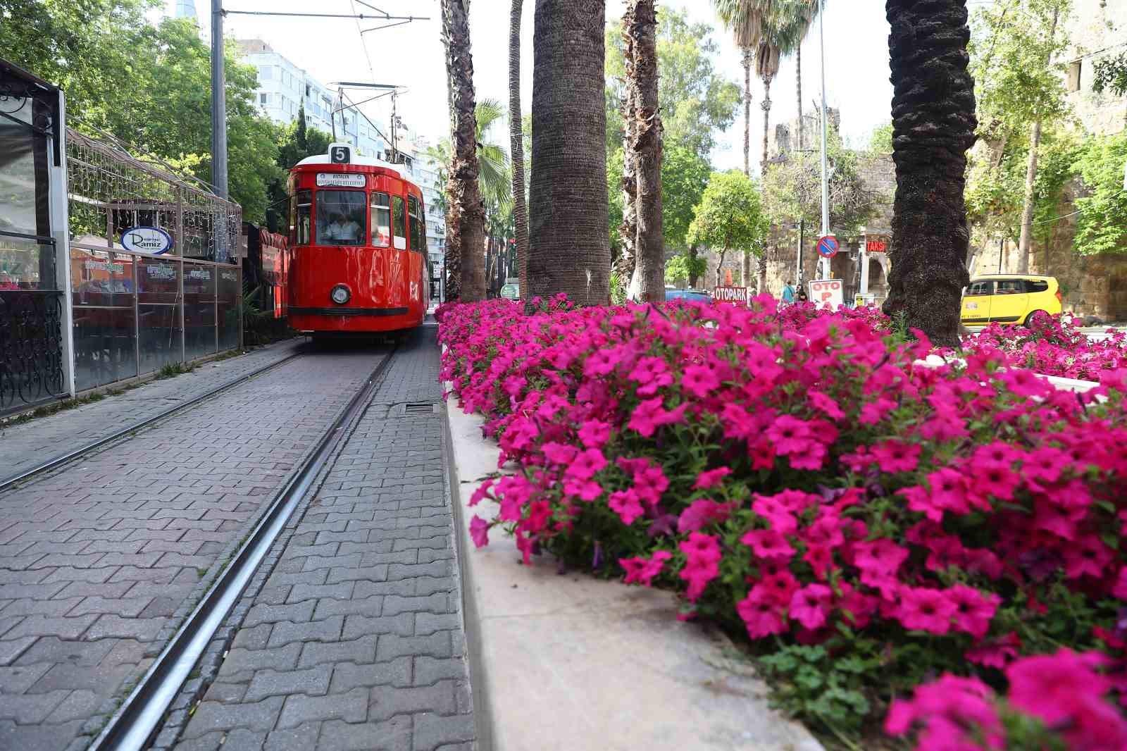 Antalya yazlık çiçeklerle rengarenk olacak
