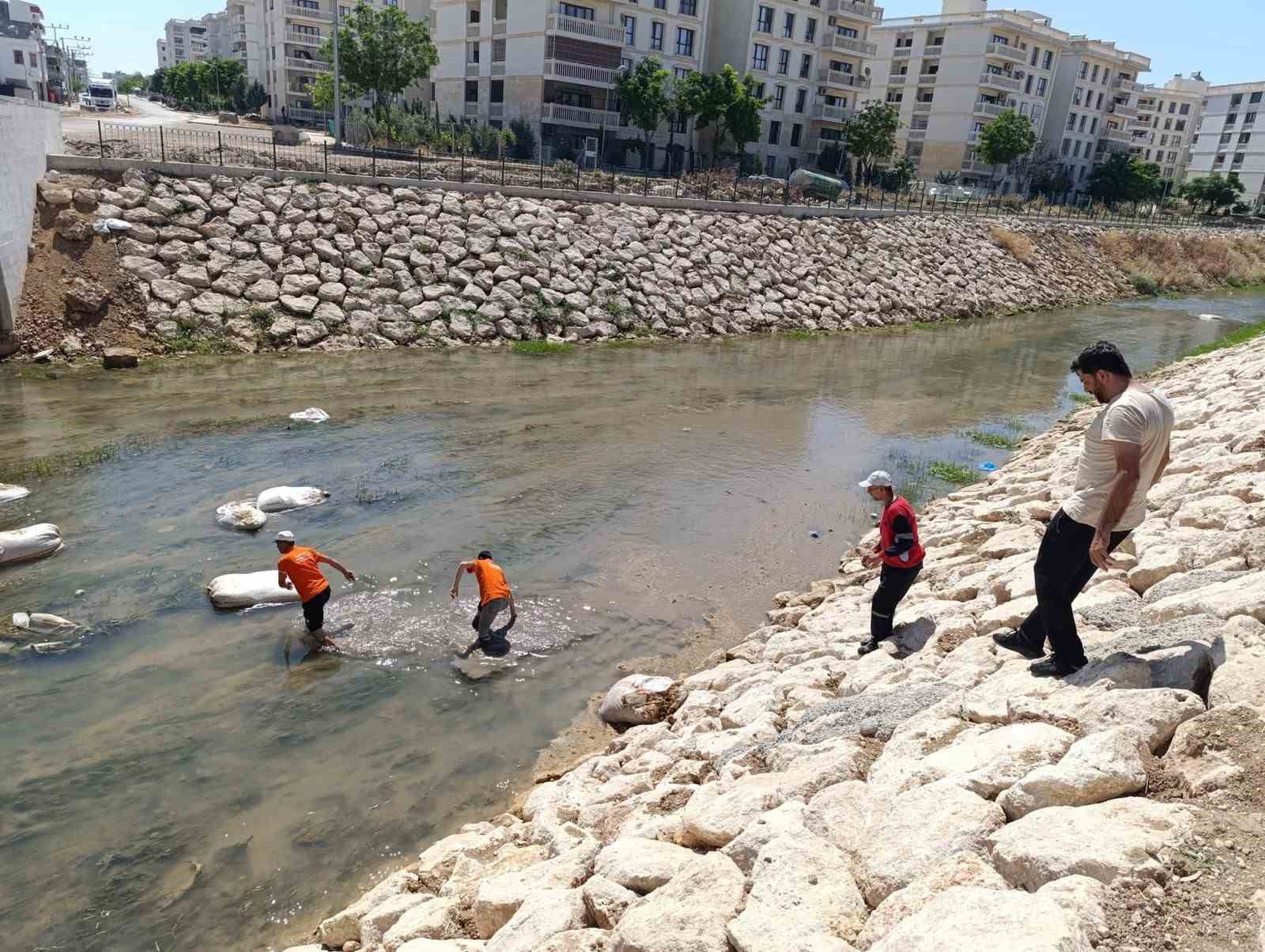 Nusaybin’de Çağ Çağ Deresi’ne atılan çöpler temizlendi