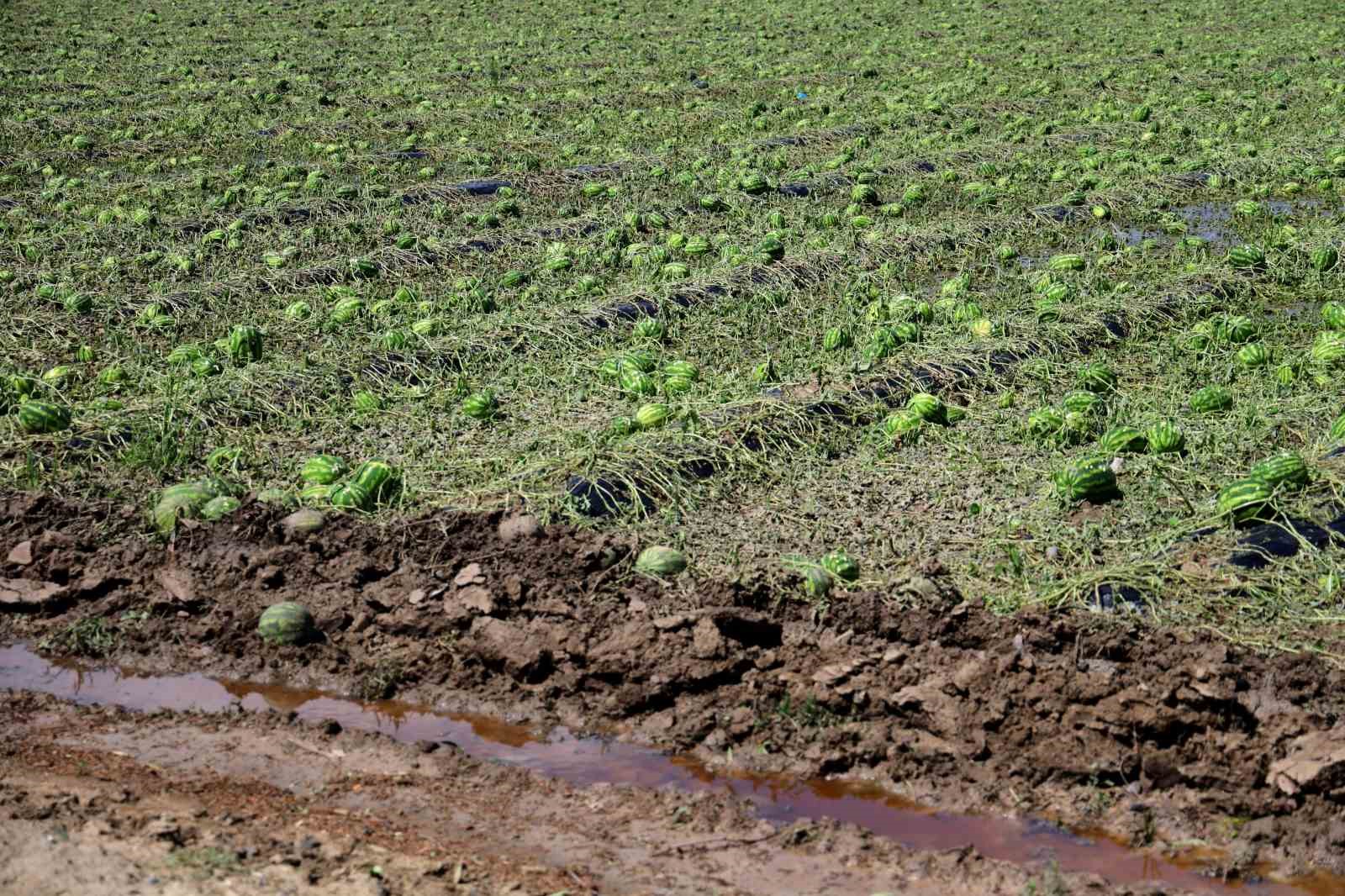 Adana&rsquo;da dolu yağışı tarım arazilerine zarar verdi
