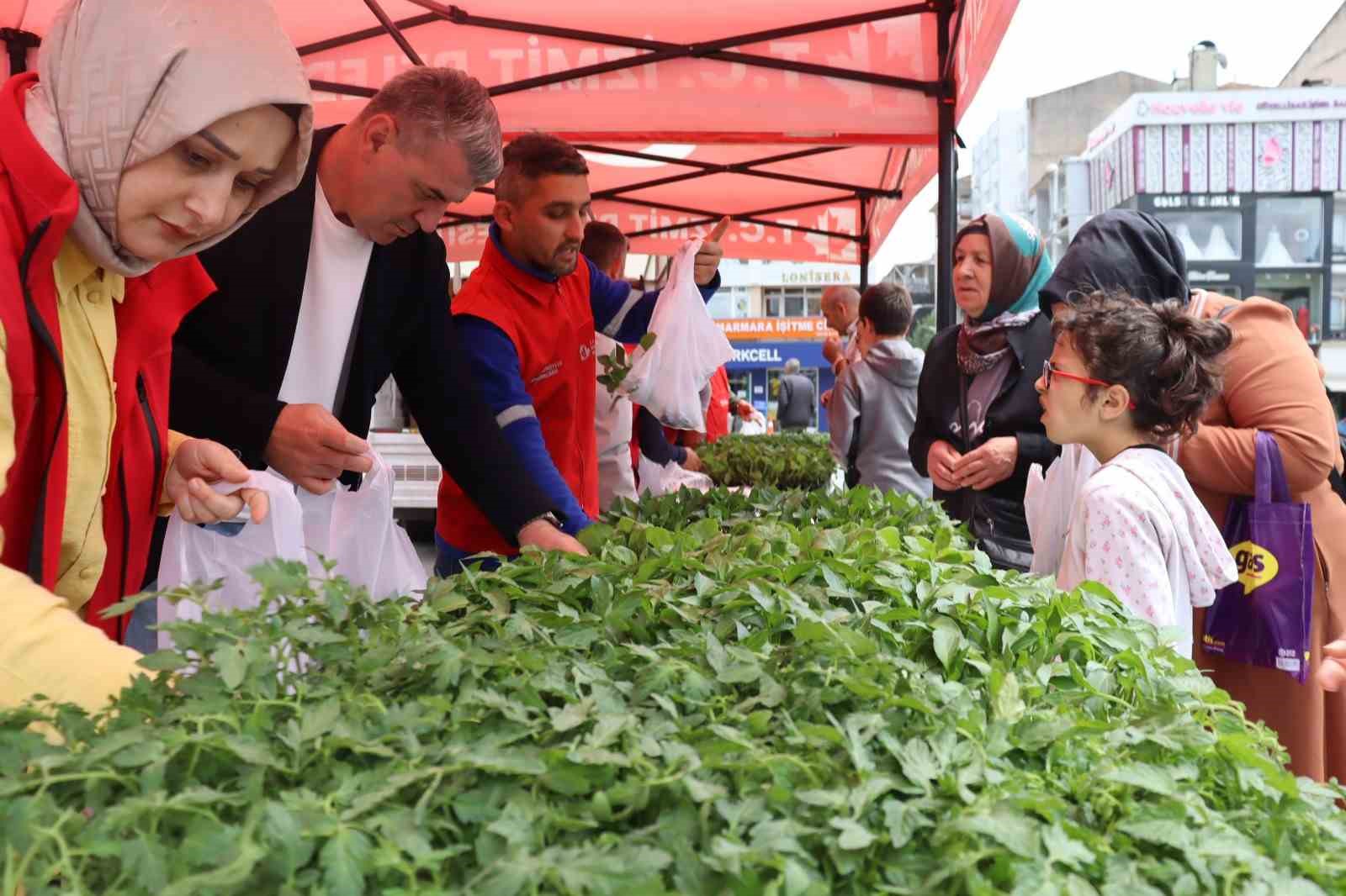 Tarımsal kalkınmaya fide desteği