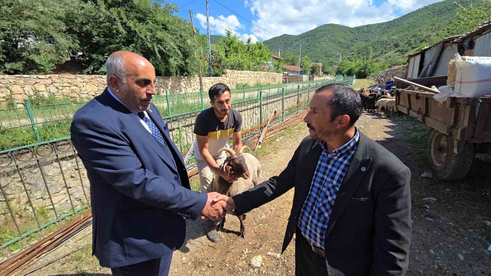 Ahırın lideri olan 4 boynuzlu koç, son başbakan Binali Yıldırım’a hediye edilecek