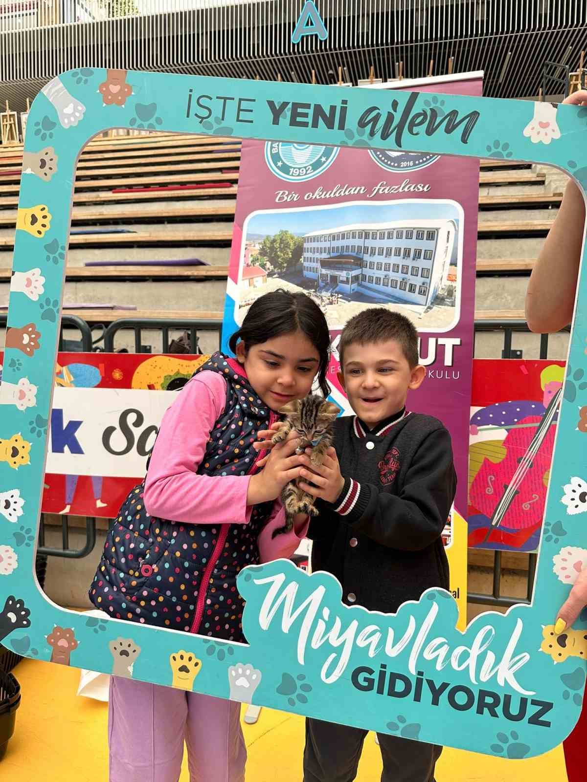 Kedi yavruları sahiplendirildi