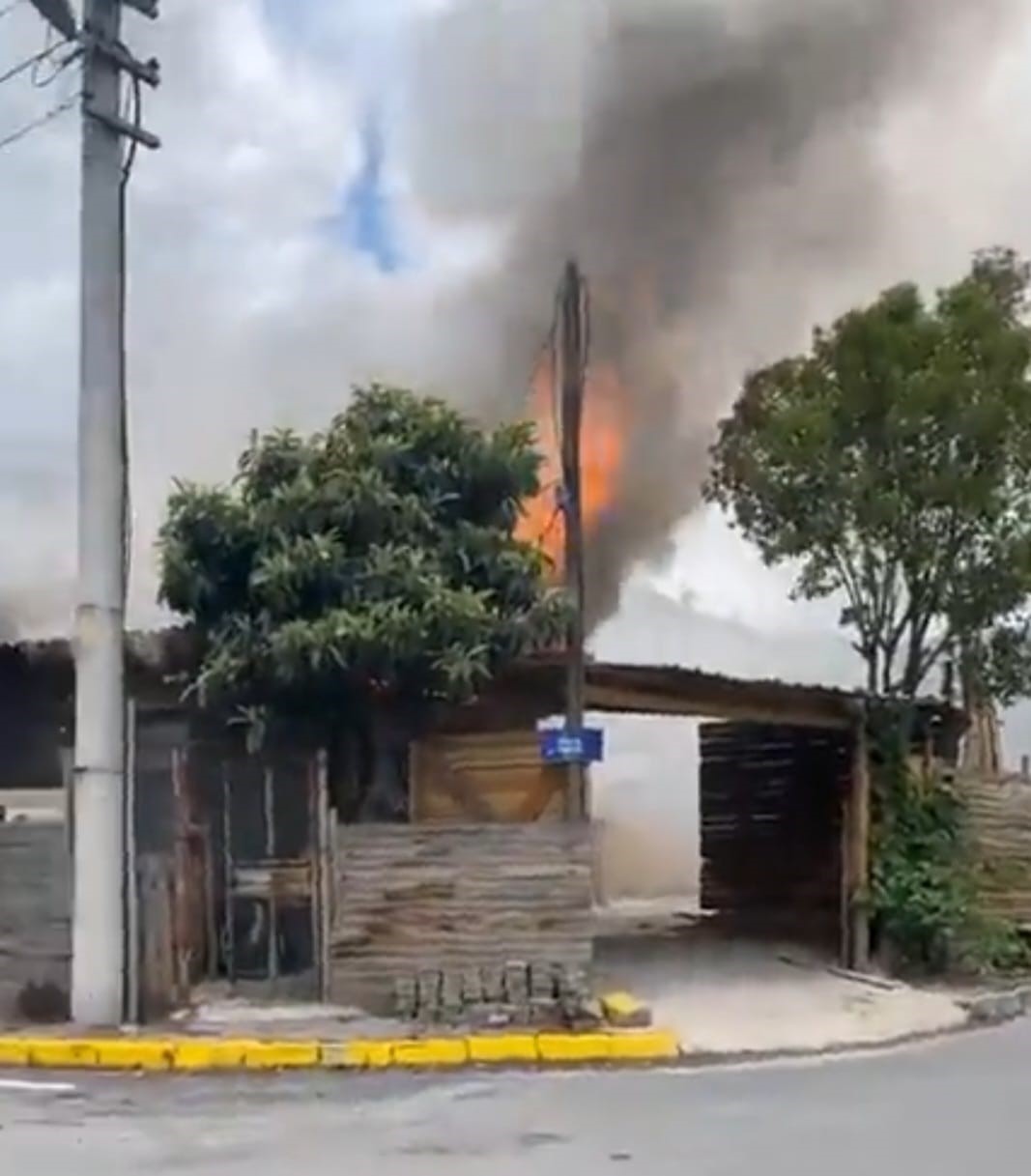 Alevlerden kaçarken yola fırlayan kedinin imdadına yetişti
