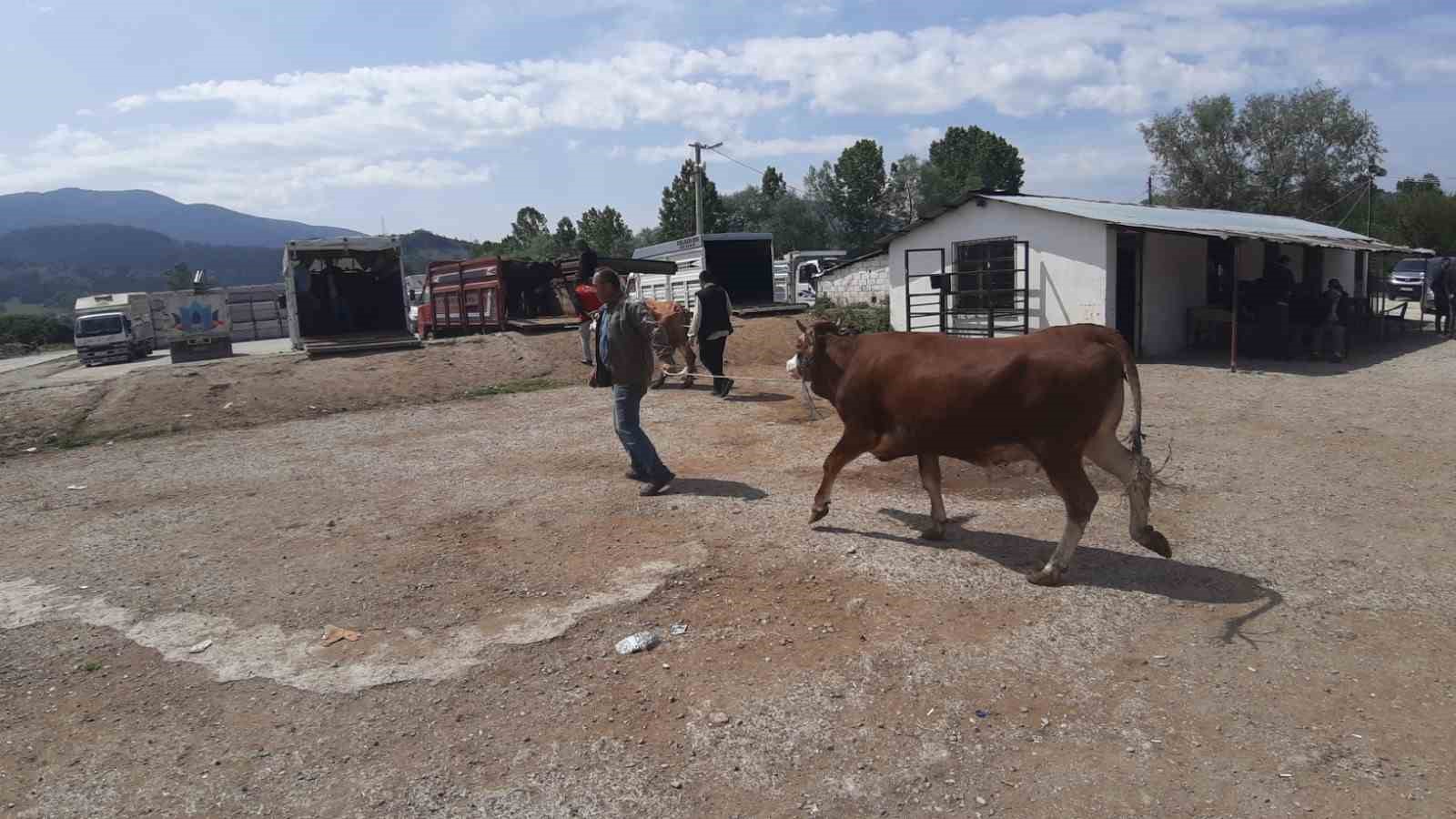 Kurban pazarında son yılların en durgun günleri yaşanıyor
