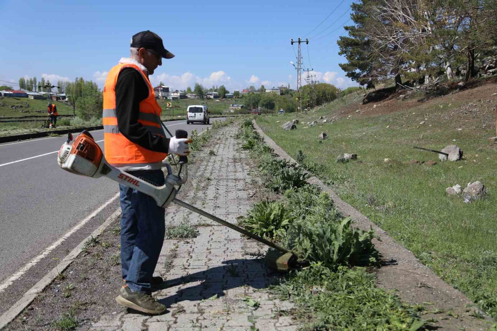 Kars’ta kaldırımlar yabani otlardan temizleniyor