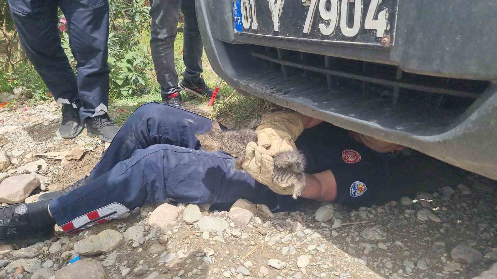 Kozan’da aracın motoruna giren kediyi CANKUR ekipleri kurtardı