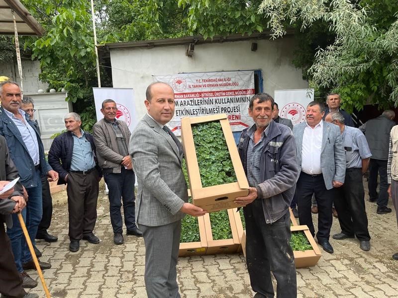 &Ccedil;ift&ccedil;ilere devlet destekli bostan fidesi dağıtılıyor
