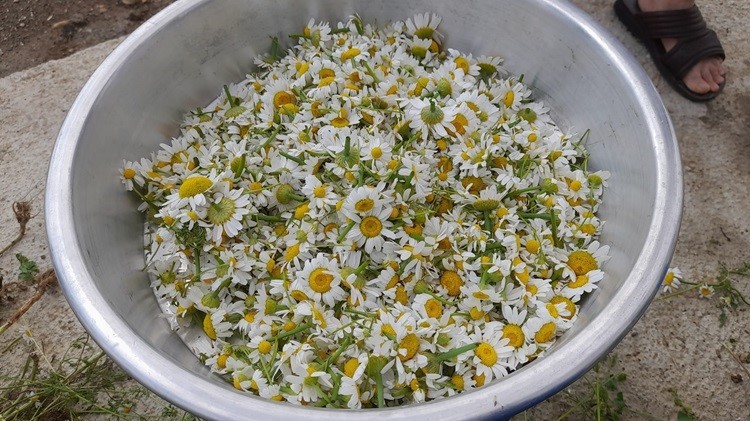 Kulp&rsquo;ta kışa hazırlık başladı
