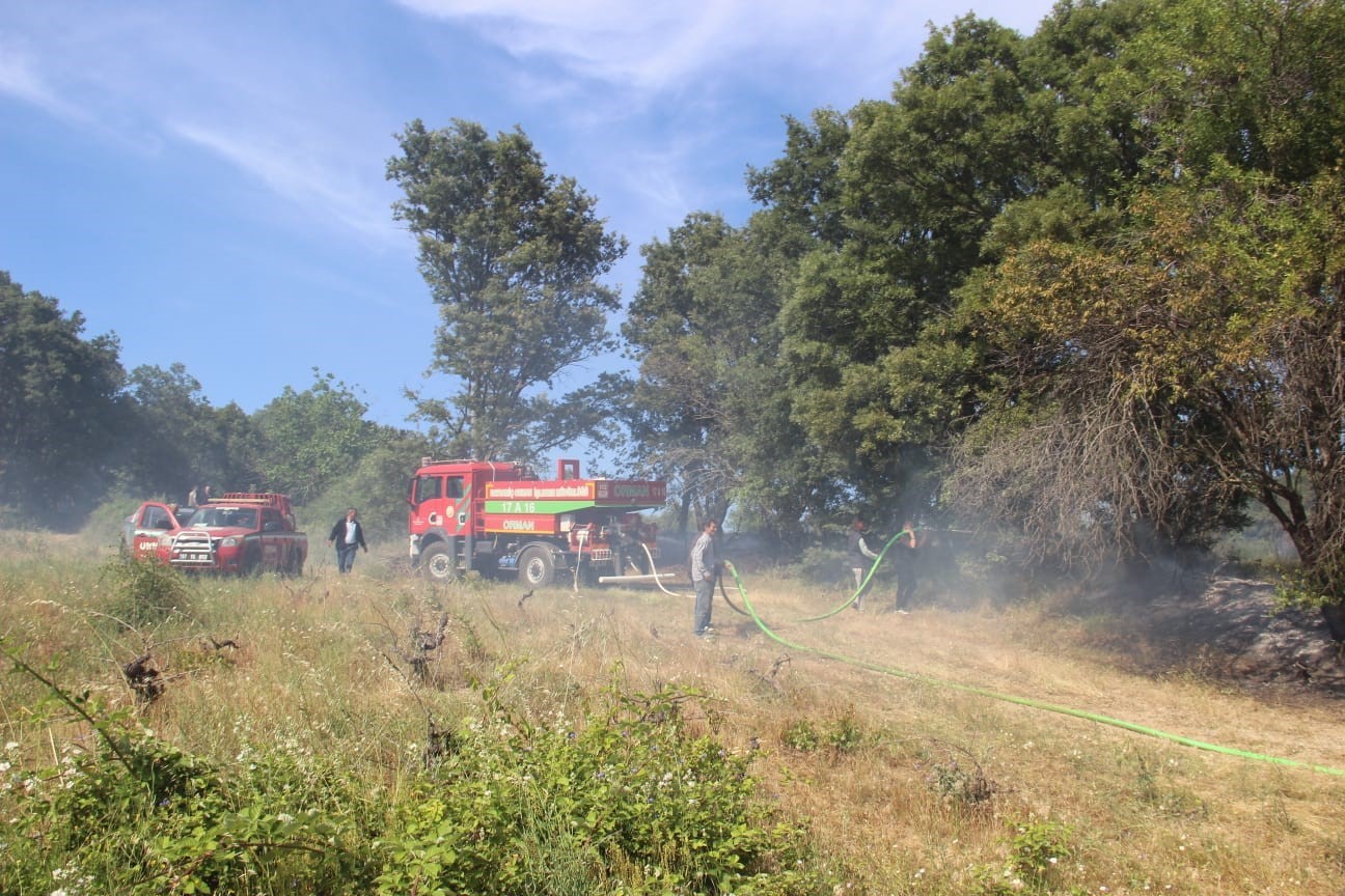 &Ccedil;anakkale&rsquo;de Kaz Dağları eteklerinde &ccedil;ıkan yangın korkuttu
