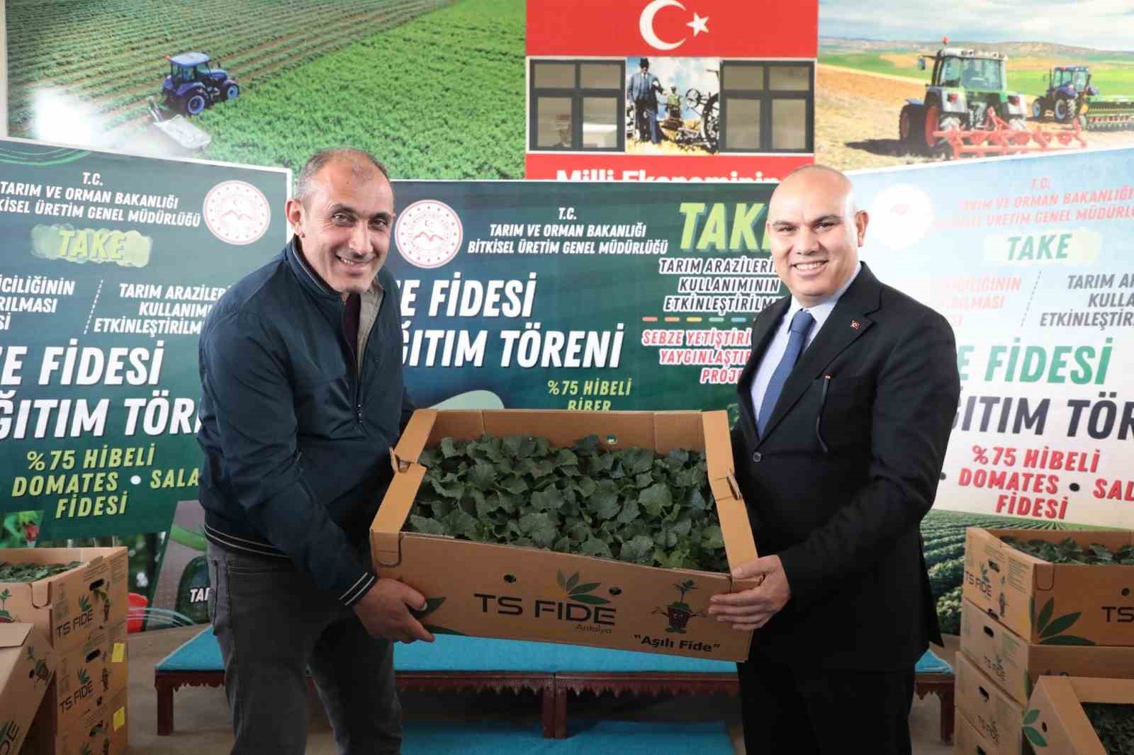 Ağrı’da 500 işletmeye 250 sebze fidesi dağıtıldı
