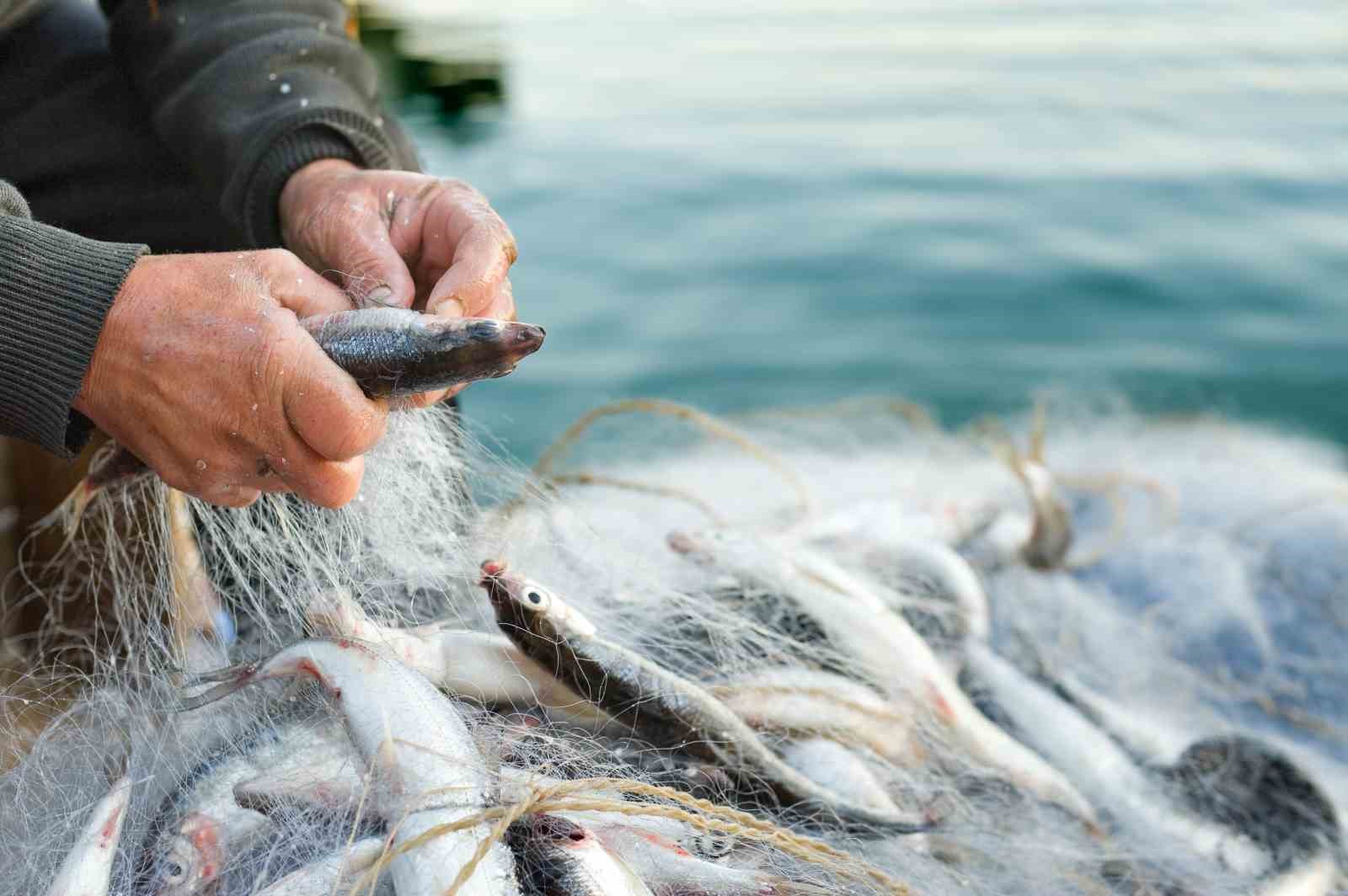 Türk su ürünleri ihracatı 5 yılda yüzde 65 artarak 1,7 milyar dolara yükseldi
