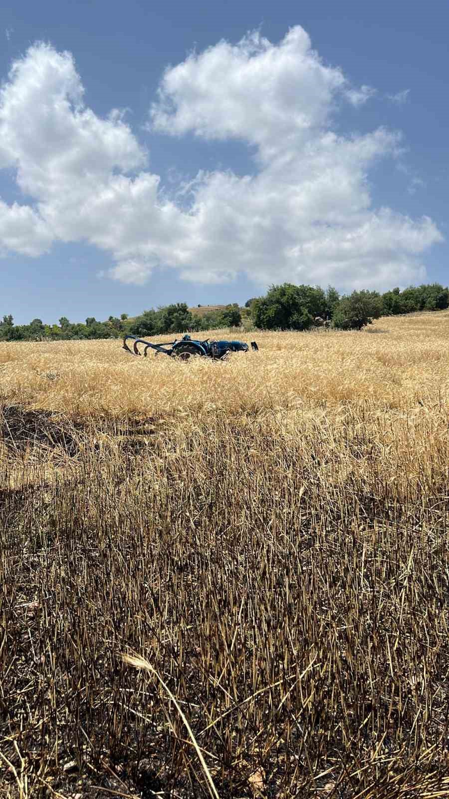 Kilis’te çıkan yangında 15 dönüm alanda ekili buğday kül oldu