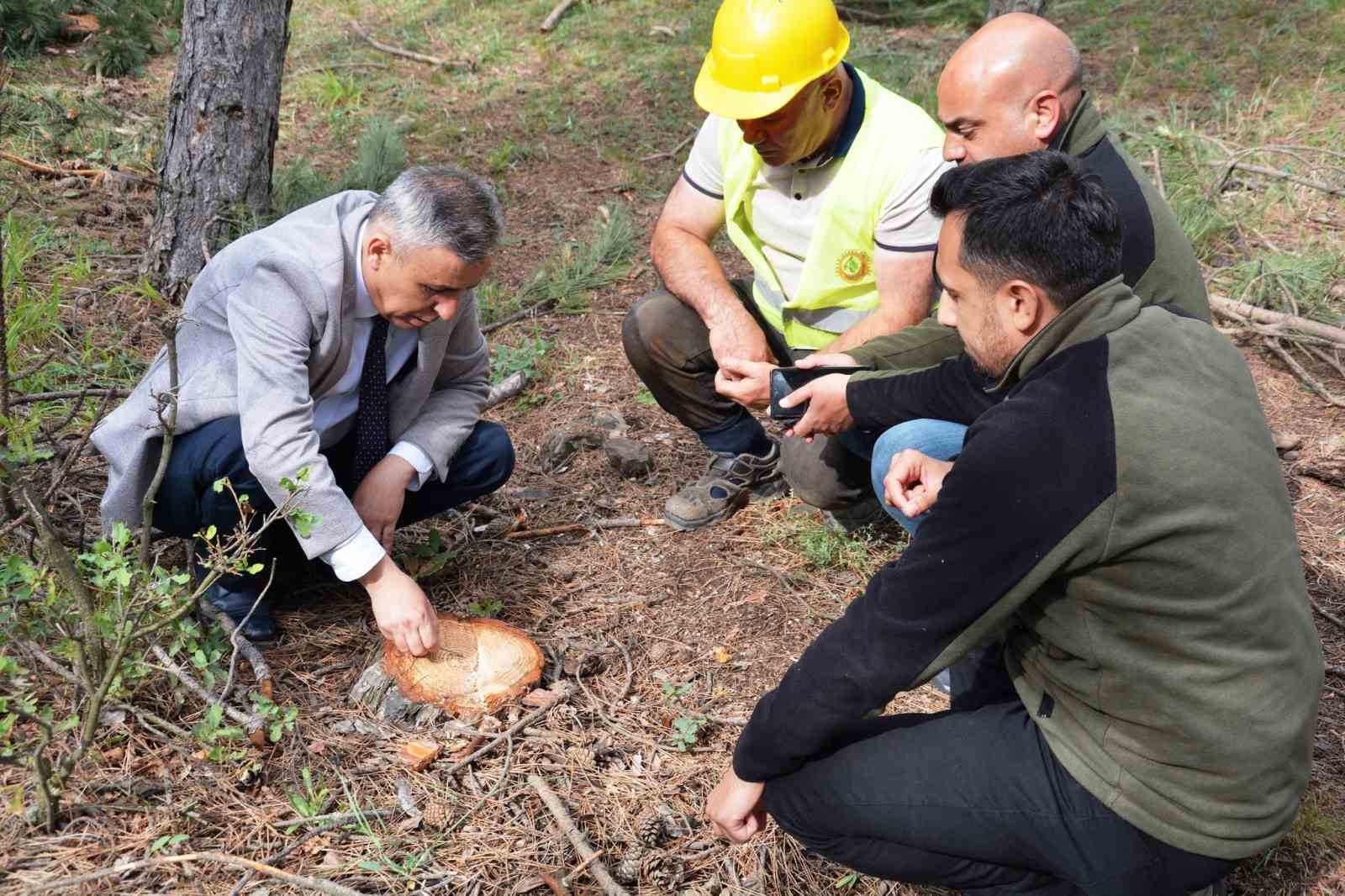 B&ouml;lge M&uuml;d&uuml;r&uuml; Erdal Dingil, Tavşanlı ve Simav&rsquo;da incelemelerde bulundu
