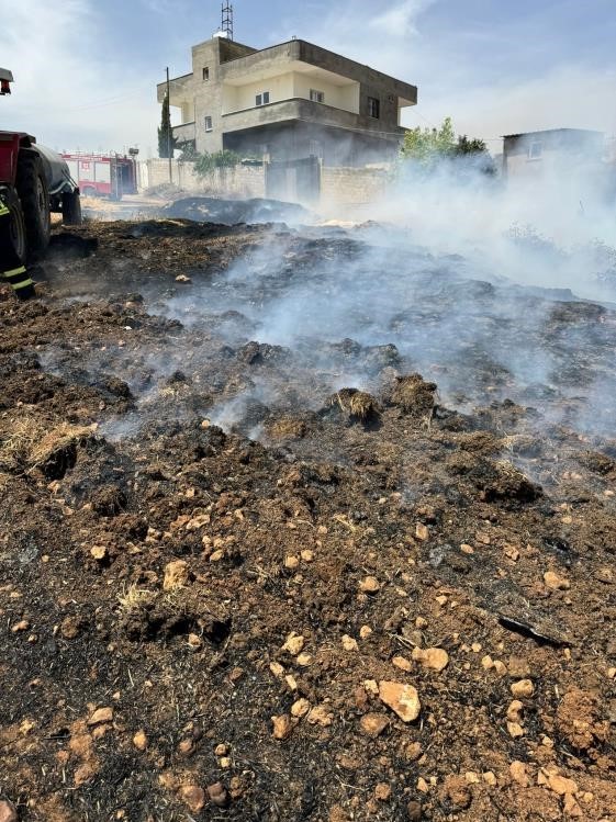 Nusaybin ilçesinde kuru otların olduğu alan ve sınır hattında ekili buğday küle döndü
