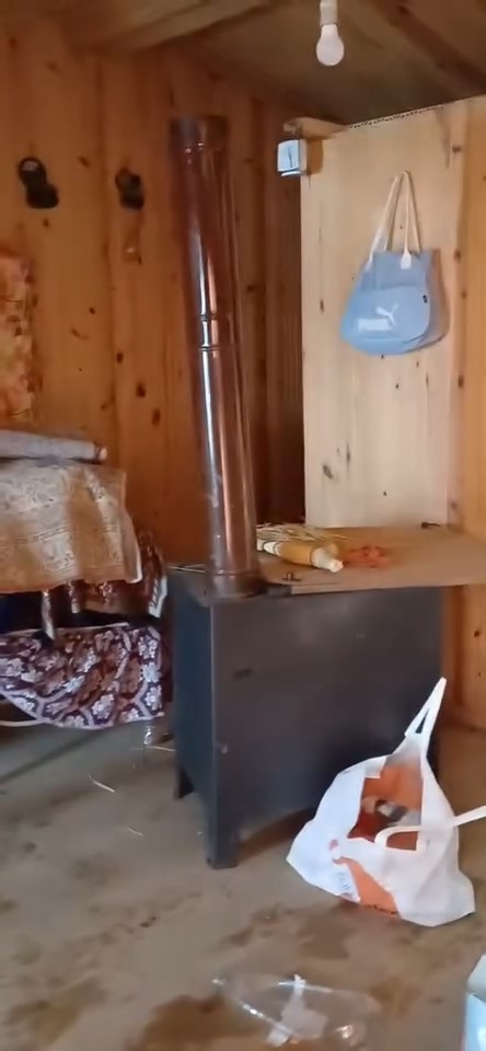 A&ccedil; kalan ayılar yayla evlerini talan etti
