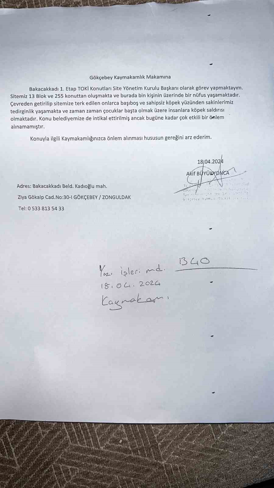 Başıboş k&ouml;peklerin saldırısına uğrayan 80 yaşındaki depremzede korku dolu anları anlattı

