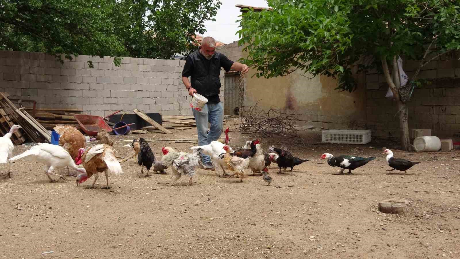 Hayvanat bahçesi değil evinin bahçesi, adeta Ali Baba’nın çiftliği