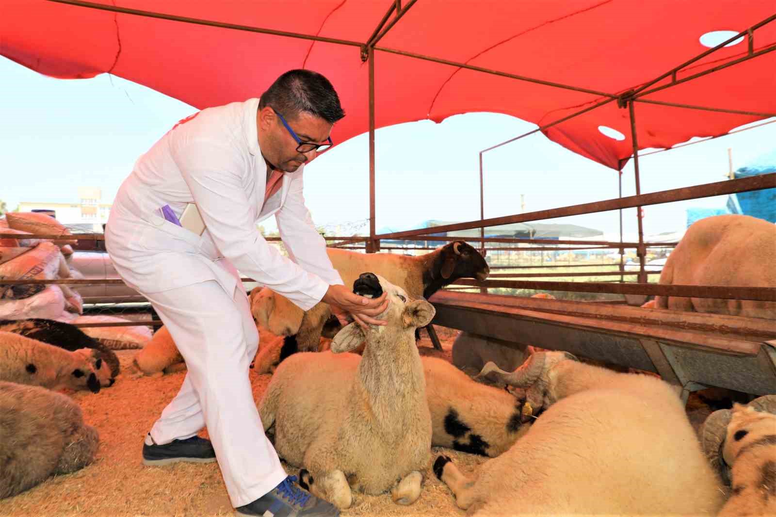Y&uuml;reğir&rsquo;de kurban satış ve kesim yerleri belirlendi
