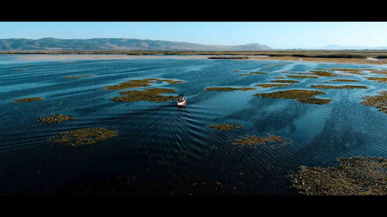 Işıklı G&ouml;l&uuml;nde nil&uuml;fer ş&ouml;leni başlıyor
