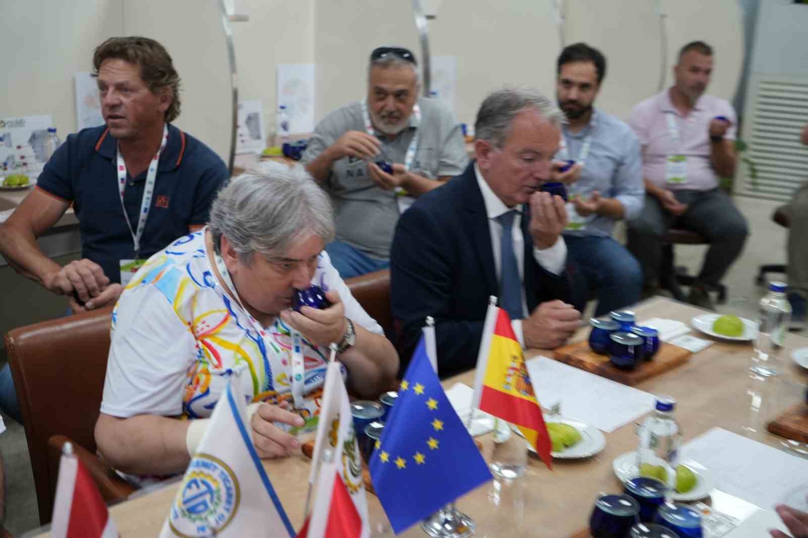 İspanyol zeytincilerden T&uuml;rk zeytinyağına tam not
