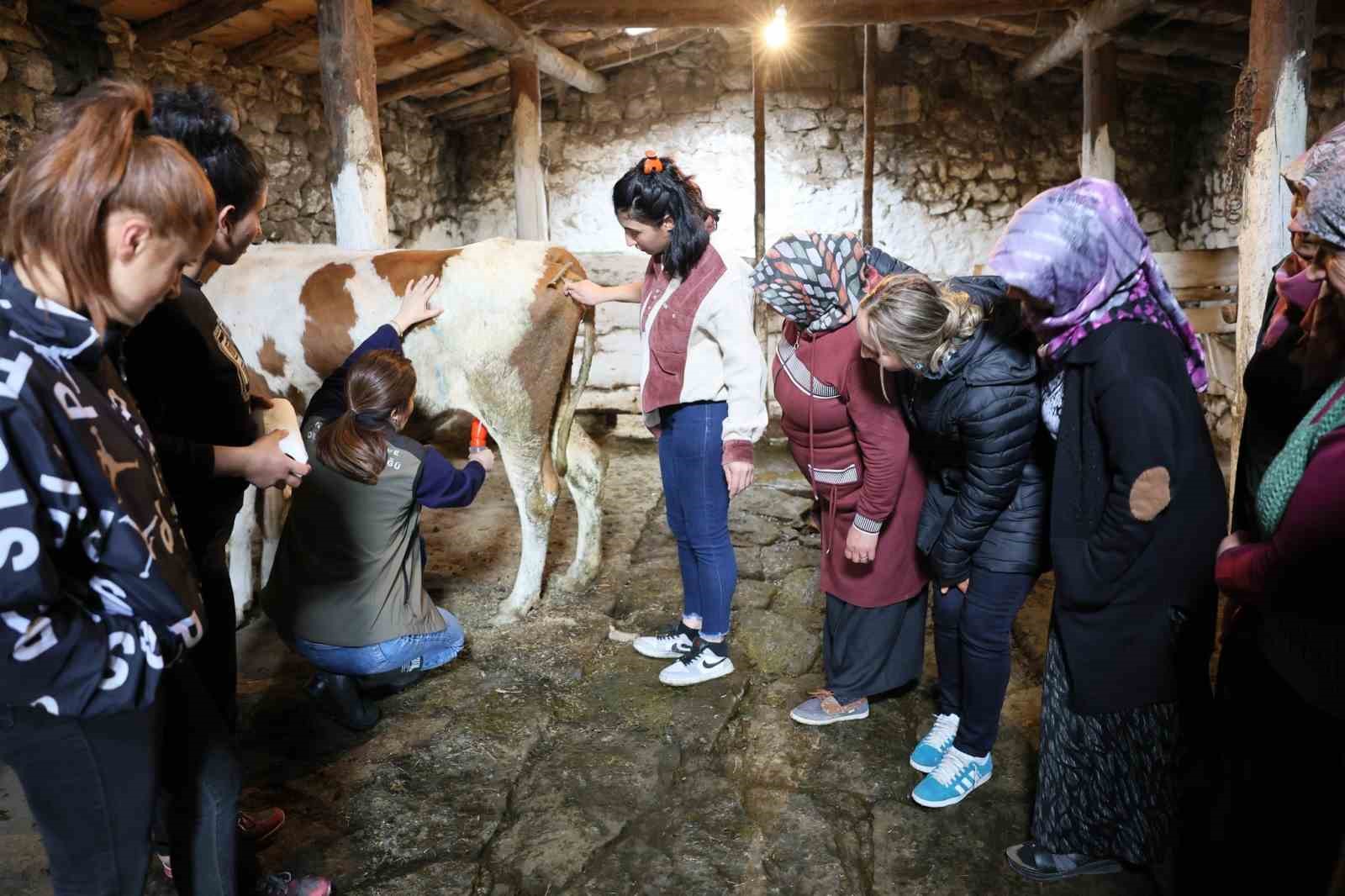 Kars&rsquo;ta kadın &ccedil;ift&ccedil;ilere eğitim verildi
