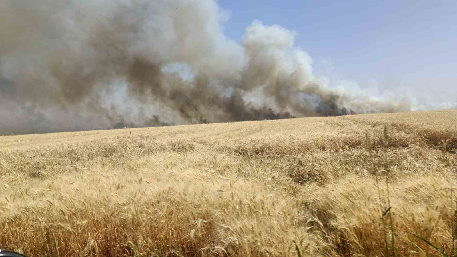Bin dönüm ekili arazi yangında küle döndü İhlas Haber Ajansı