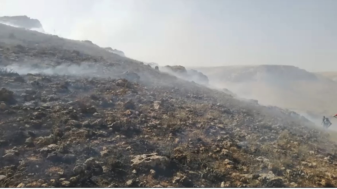 Mardin’de ormanlık alanda çıkan yangın söndürüldü
