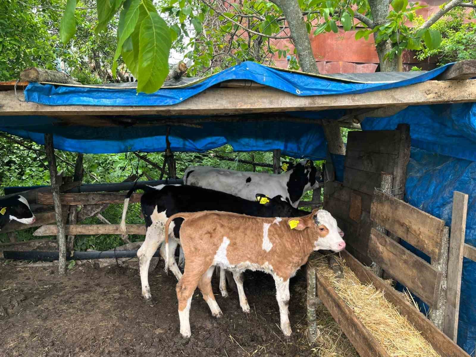 Vize&rsquo;de k&uuml;peleme ve kayıt altına alma &ccedil;alışması
