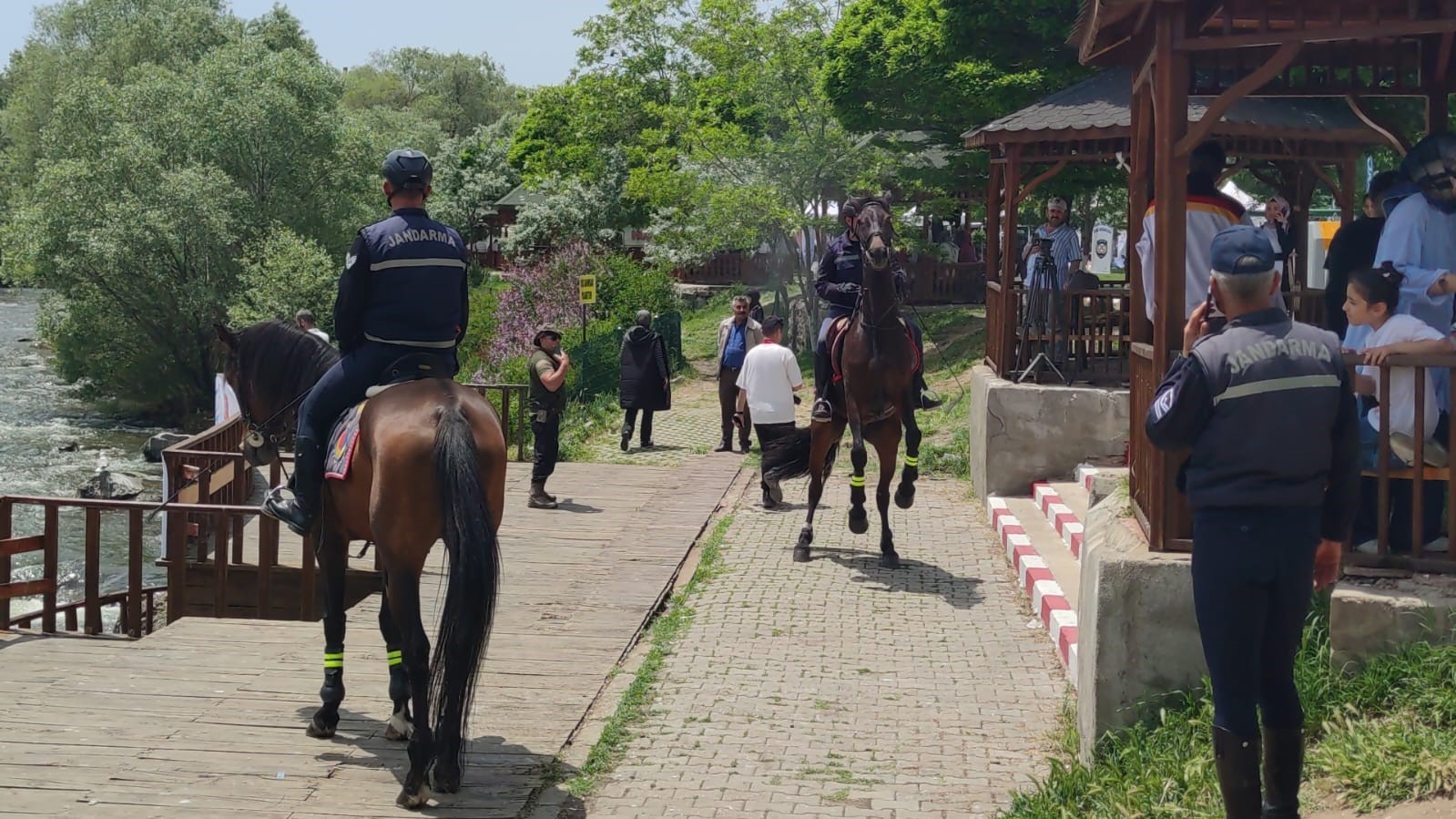 U&ccedil;an balıklar izleyenlere g&ouml;rsel ş&ouml;len sunuyor
