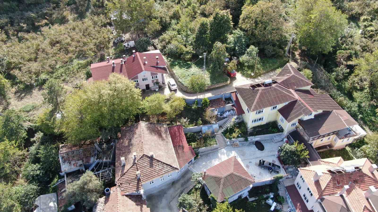 Kastamonu&rsquo;da ayılar il&ccedil;eyi mesken tuttu
