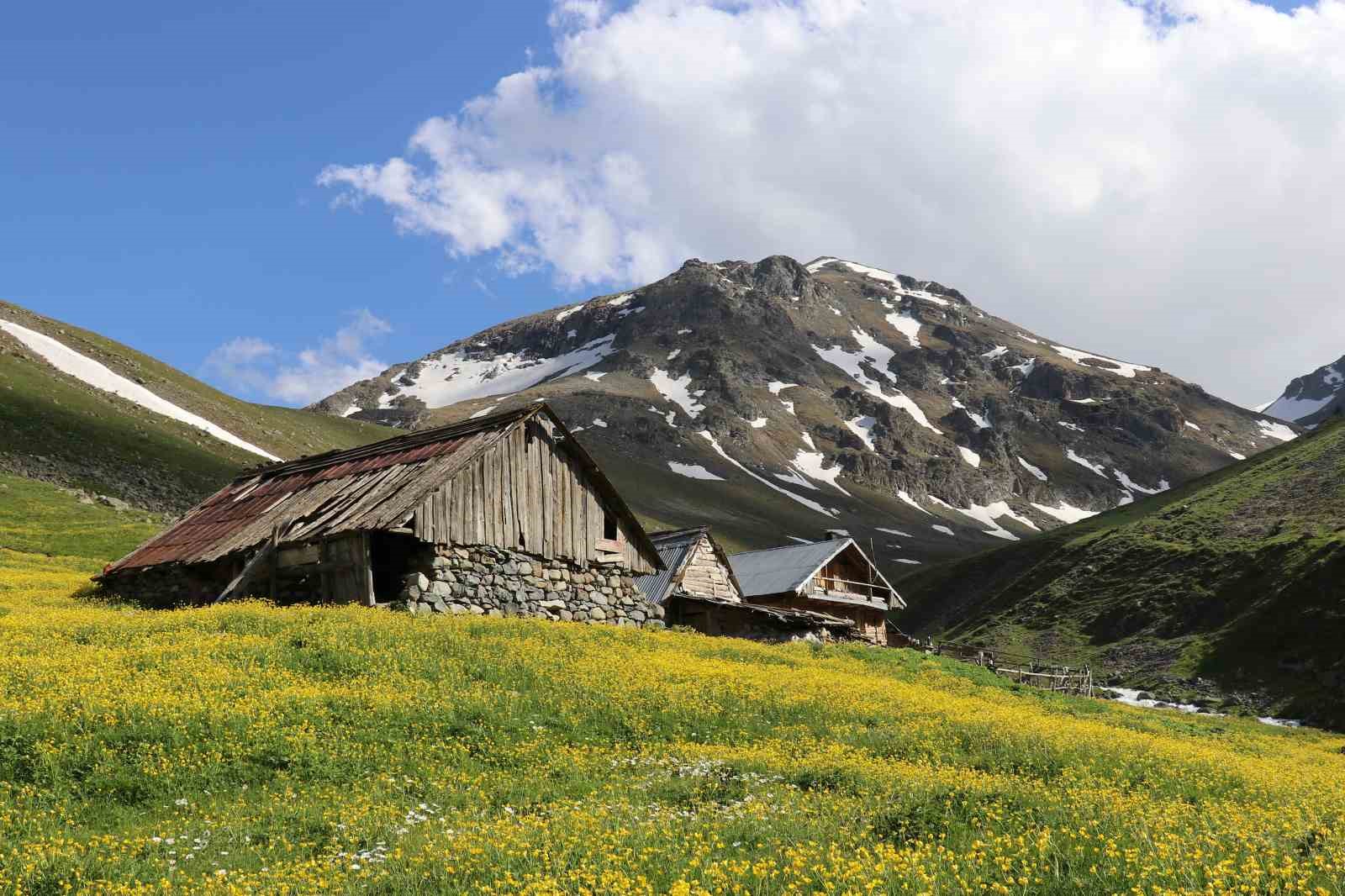 Dulağa Yaylası’nın Alpler’i aratmayan güzelliği
