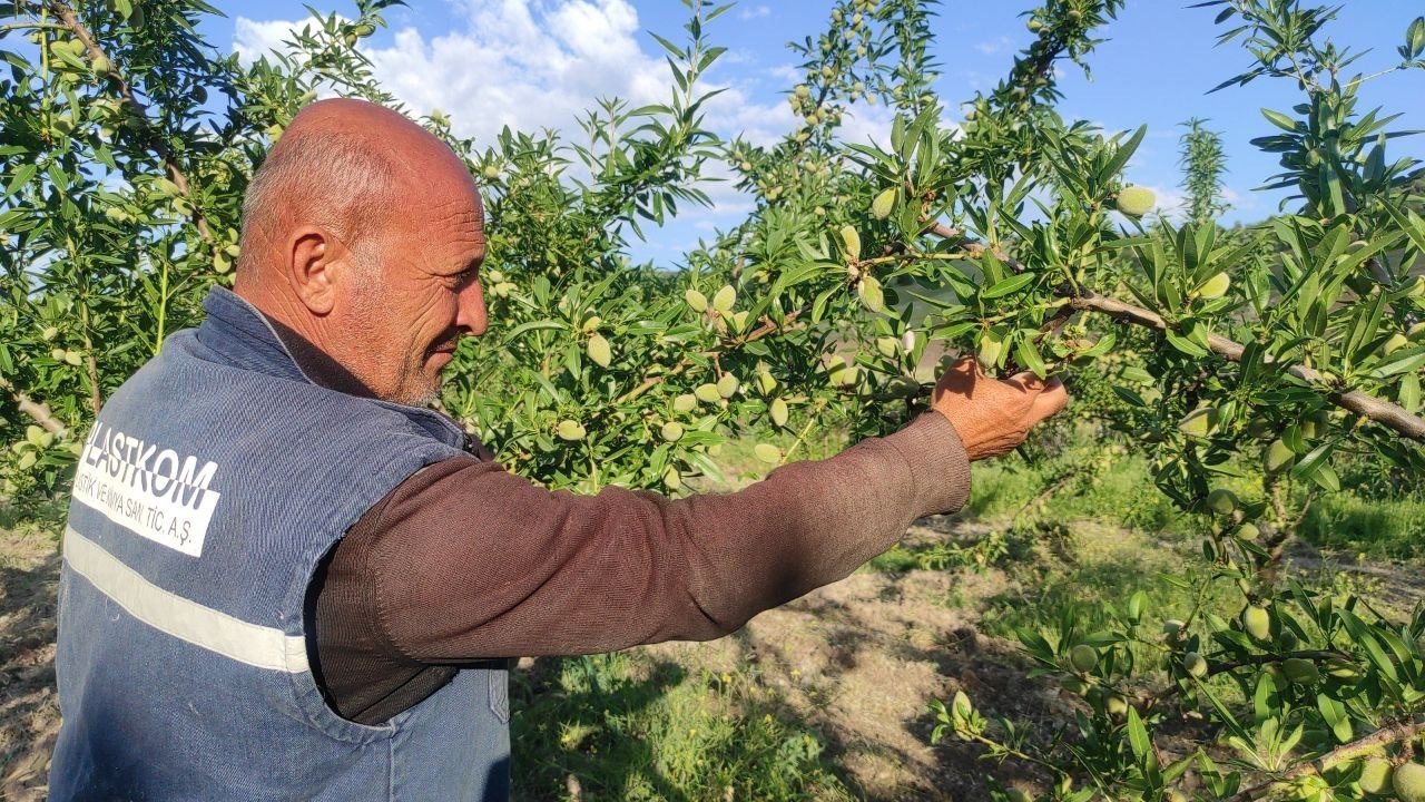 Hububat ekili kıraç arazisini badem bahçesine çevirdi, gelirini artırdı
