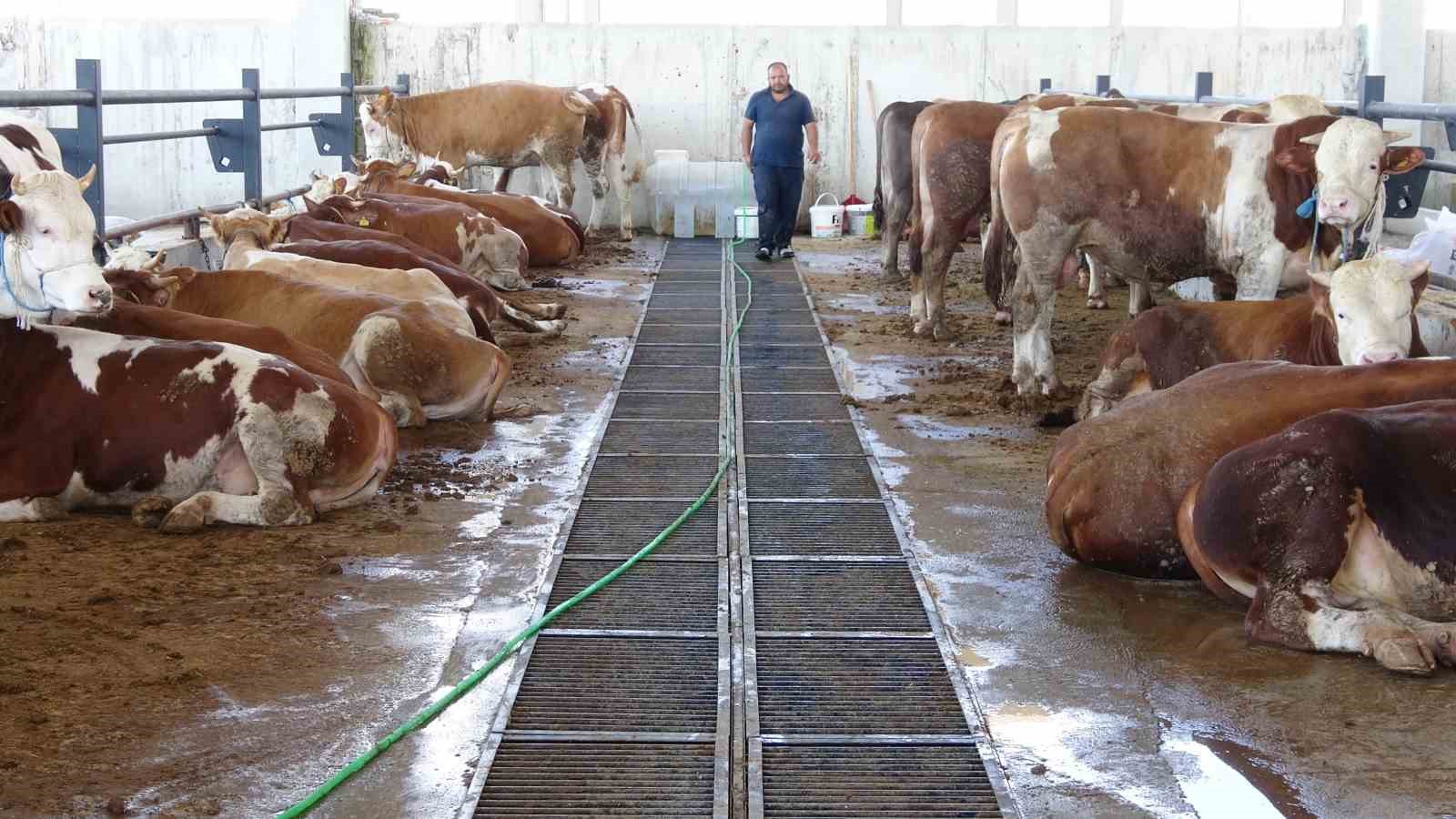 Yozgat’ta kurbanlıklar görücüye çıktı ancak gören yok
