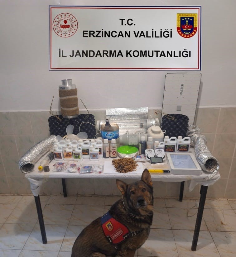 Erzincan&rsquo;da jandarmanın su&ccedil; olaylarına karşı y&uuml;r&uuml;tt&uuml;ğ&uuml; Mayıs ayı faaliyetleri a&ccedil;ıklandı
