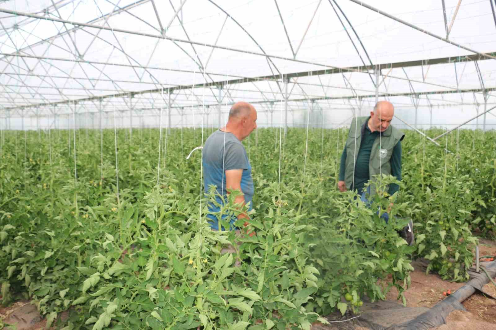 Erzincan son yıllarda yapılan yatırımların meyvelerini toplamaya başladı
