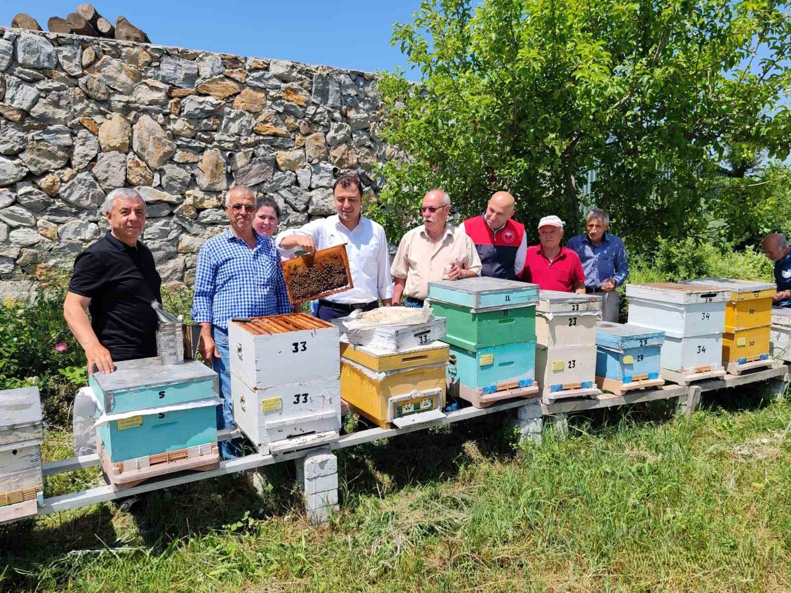 Kırklareli’nde "ana arı" dağıtımı