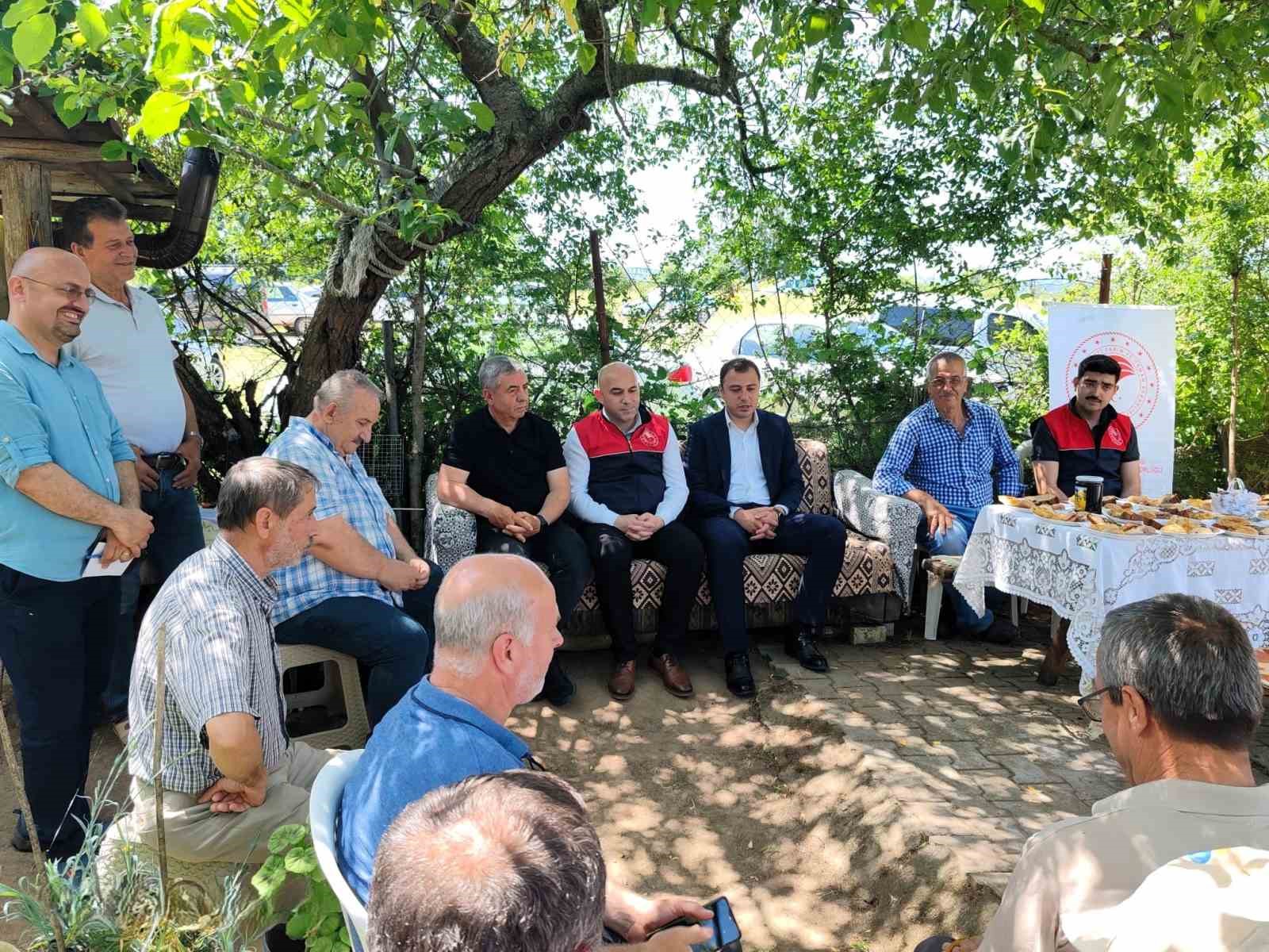 Kırklareli&rsquo;nde "ana arı" dağıtımı
