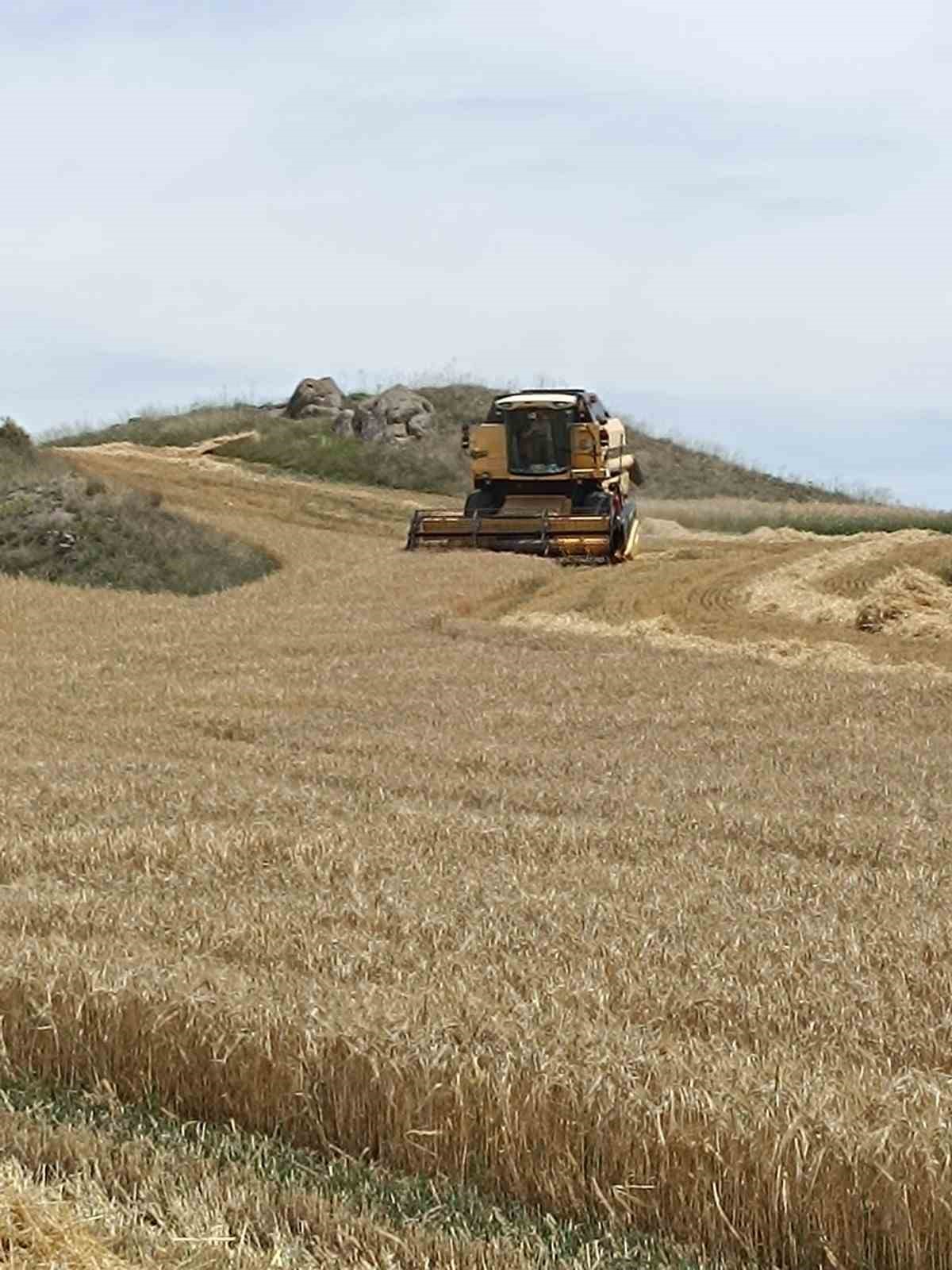 Sungurlu’da 2024 yılı hasat sezonu açıldı 