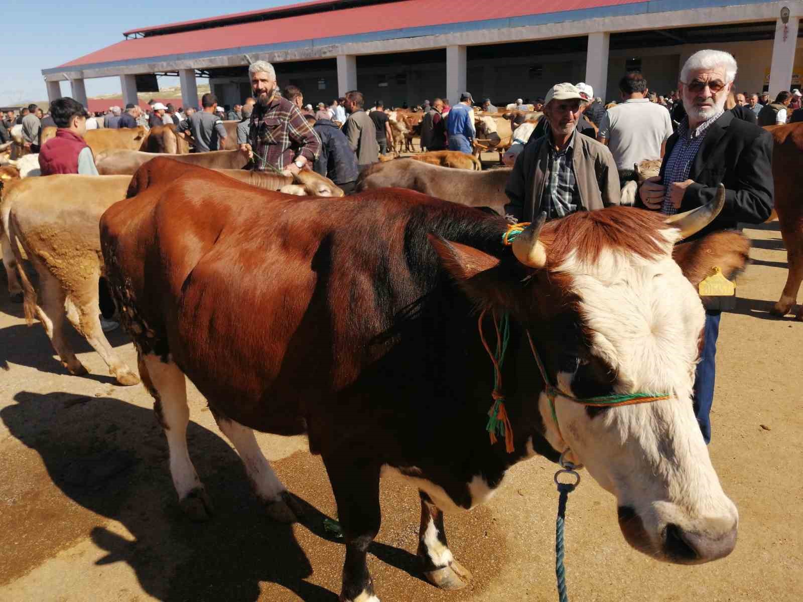 Bayburt’ta kurban pazarında hareketlilik başladı