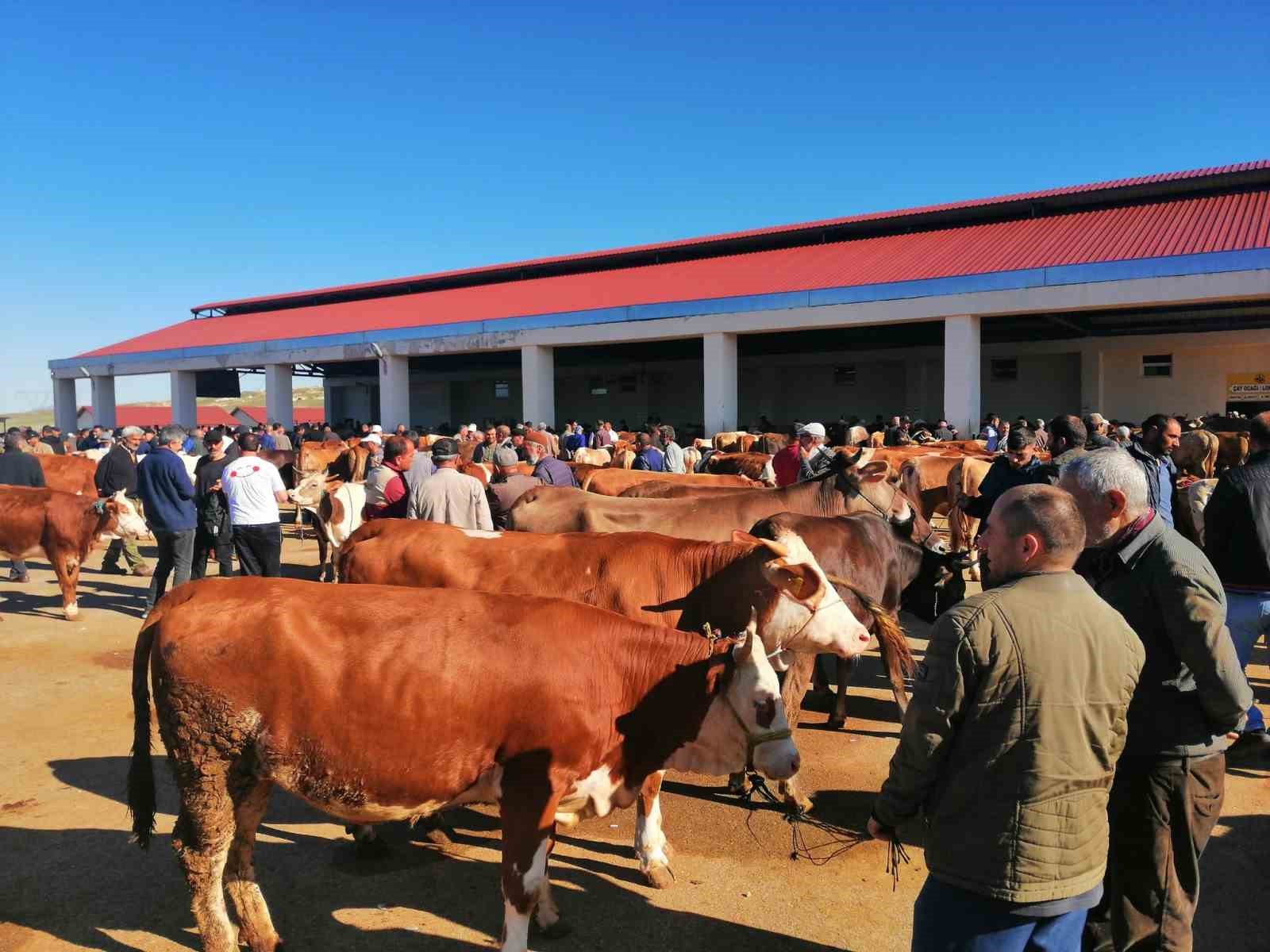 Bayburt’ta kurban pazarında hareketlilik başladı
