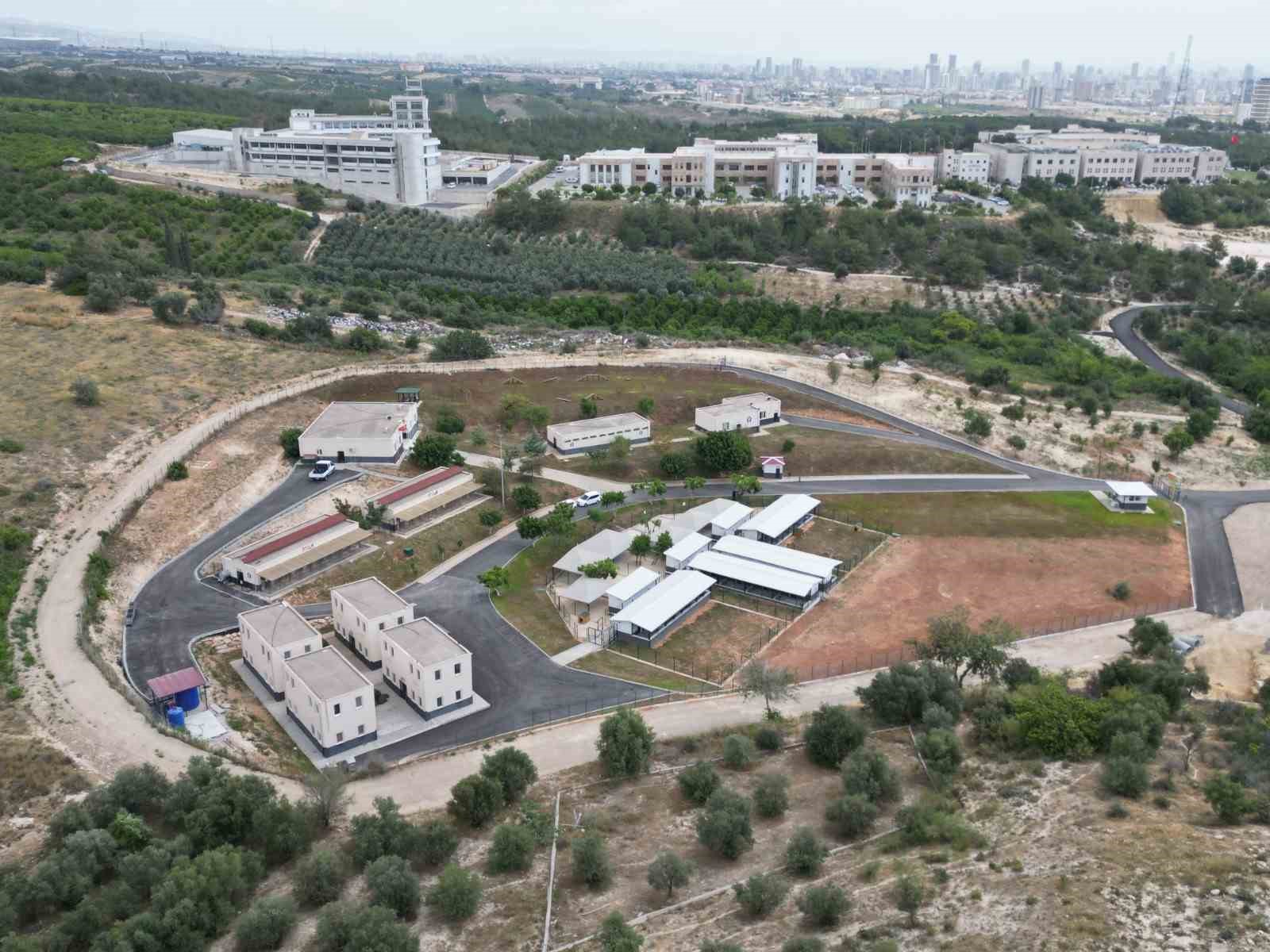 Başkan Özyiğit: &quot;Sokak hayvanları için ciddi bir bütçe ayırdık&quot;