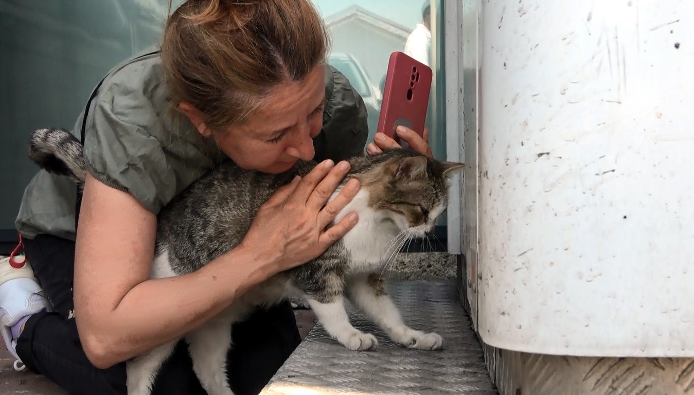 ATM’de mahsur kalan yavru kedi hayvanseverleri korkuttu
